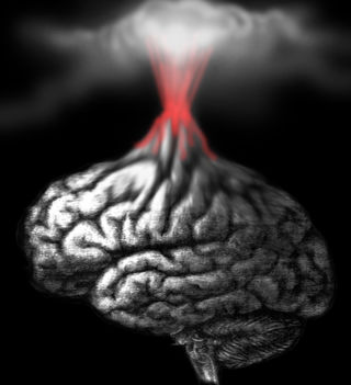 Orgasm Causes Brain Damage